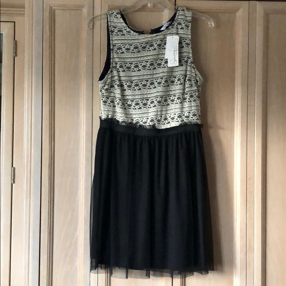 NWT! Black and cream lace dress with cinched waist